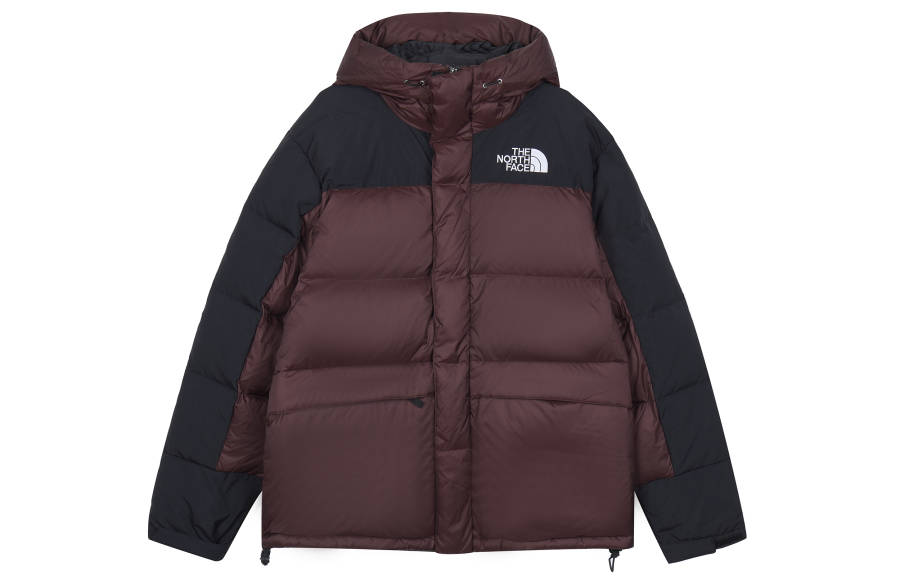 THE NORTH FACE Coats Unisex Media Brown Hooded Moderate Straight Fit