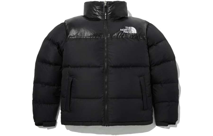 THE NORTH FACE 1996 Collection Down Jacket Men's Black