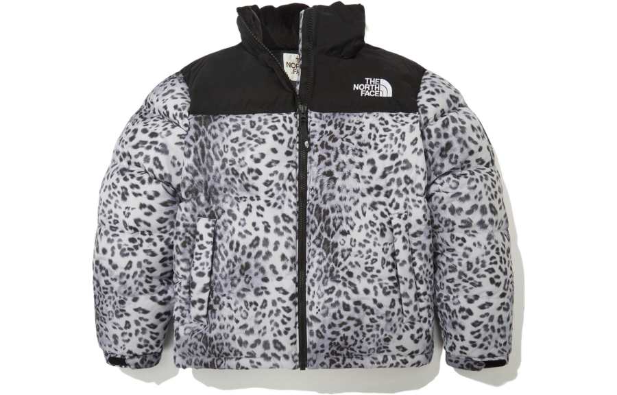 THE NORTH FACE Novelty Nuptse Down Jacket P Silver Unisex Korea Version