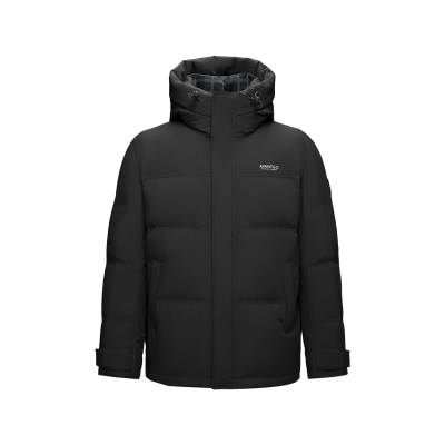 HLA Avant Garde Collection Down Jackets Men's Hooded Moderate Other