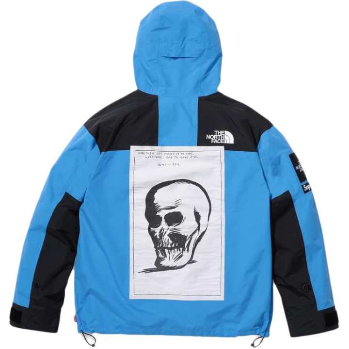 Supreme Supreme x The North Face mountain jacket