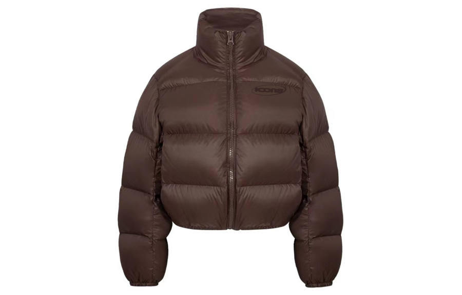 ICONS Lab ICS Down Jacket Couple Unisex