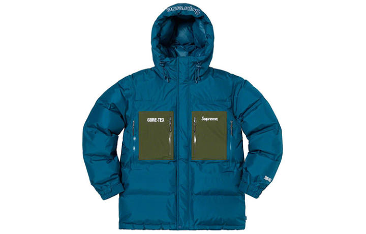 Supreme Supreme GORE TEX 700 Fill Down Parka FW19