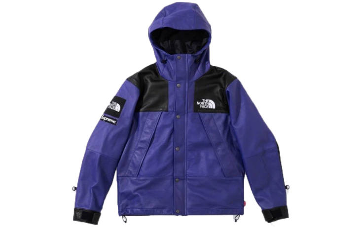 Supreme Supreme The North Face Leather Mountain Parka