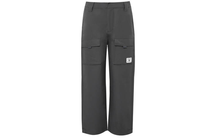 Dickies Dickies Casual Pants Men's Dark Gray