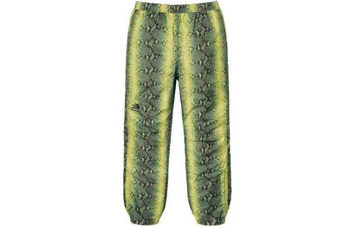 Supreme Supreme The North Face Snakeskin Taped Seam Pant