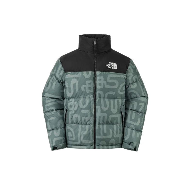 THE NORTH FACE ICON FW24 Down Jacket Unisex Green