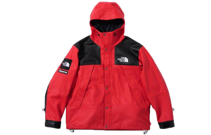 Supreme Supreme X The North Face Leather Mountain Parka