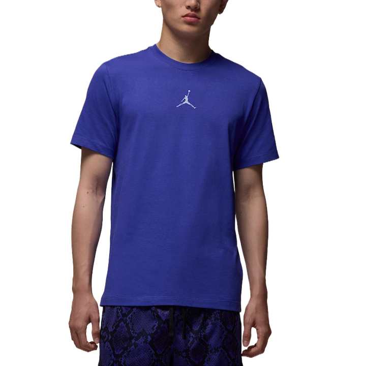 Jordan Jordan Sport Men's Dri FIT T Shirt