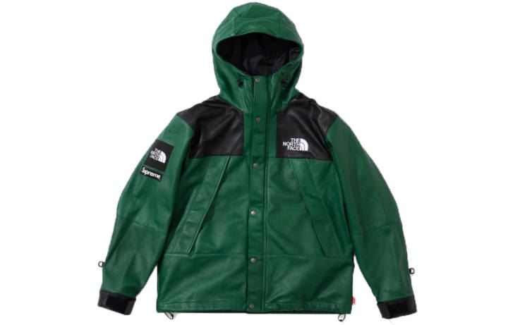 Supreme Supreme X The North Face Leather Mountain Parka