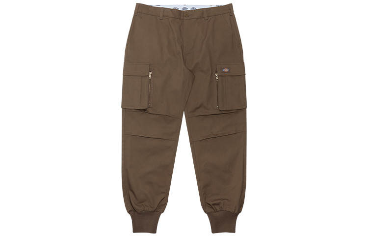 Dickies Dickies Cargo Pants Men's Brown Moderate