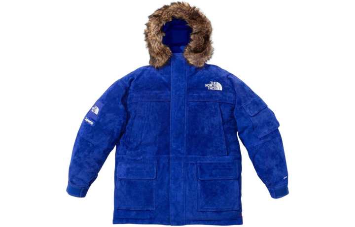 Supreme Supreme The North Face Suede 600 Fill Down Parka