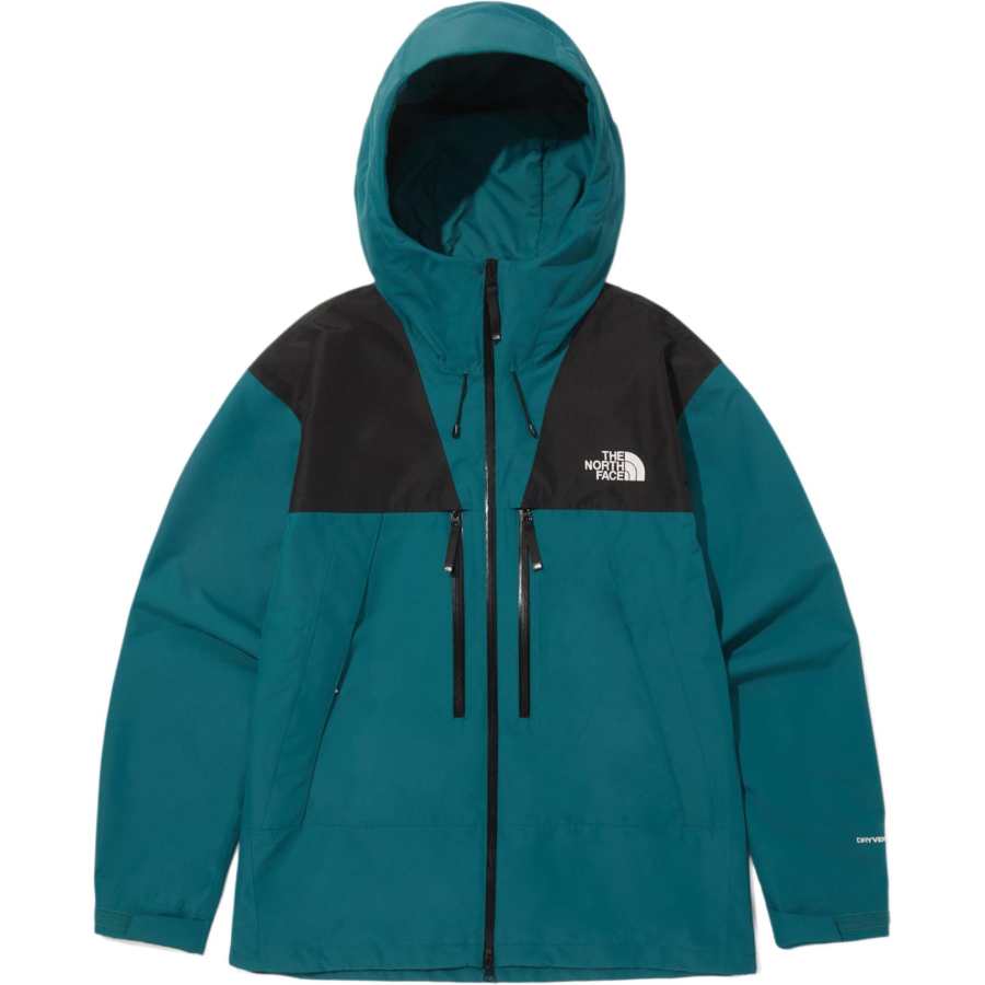 THE NORTH FACE Jackets & Coats Men's Blue