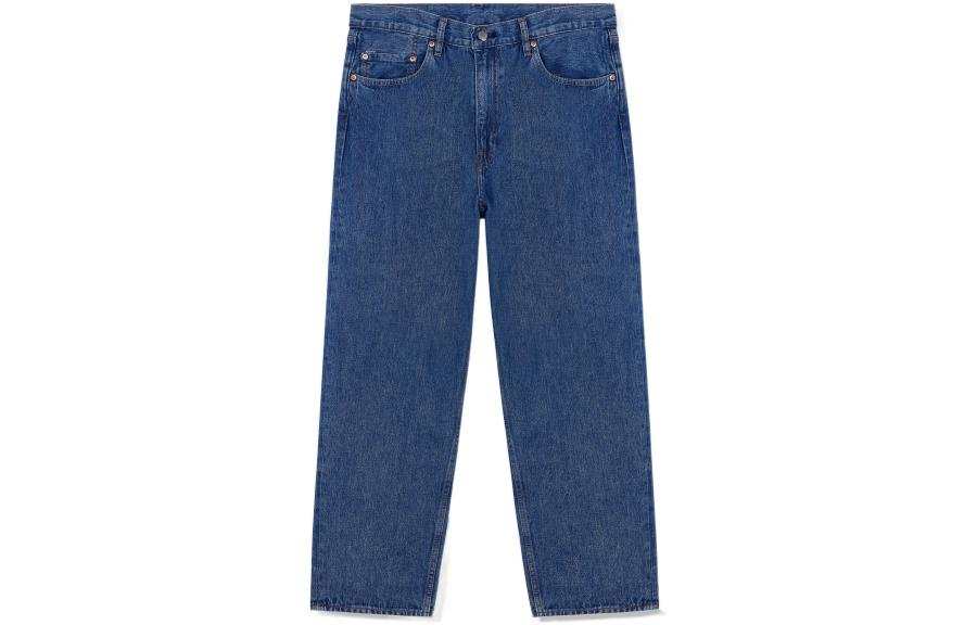Levis Levis Jeans Men's Blue Moderate Straight Fit Pants