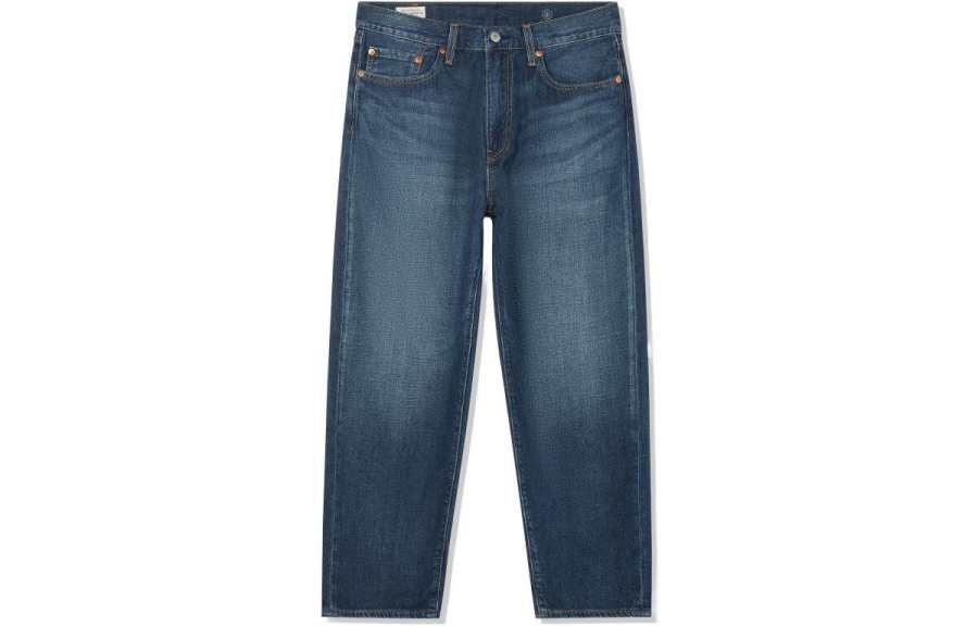 Levis Levis Jeans Men's Blue Moderate Straight Fit Pants