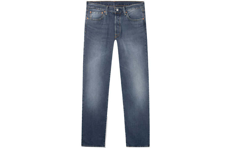 Levis Levis Jeans Men's Blue Moderate Straight Fit Pants