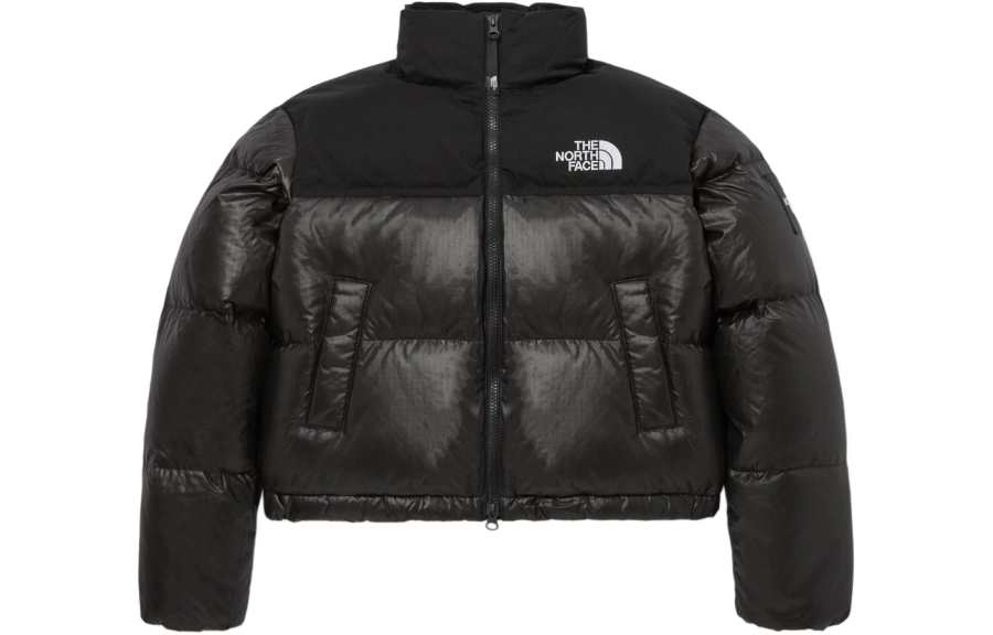 THE NORTH FACE Down Jackets Unisex Black Stand Collar Moderate Other