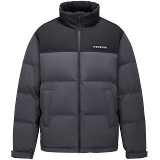 QIE Down Jackets Men's Stand Collar Without Hood Thickened Other