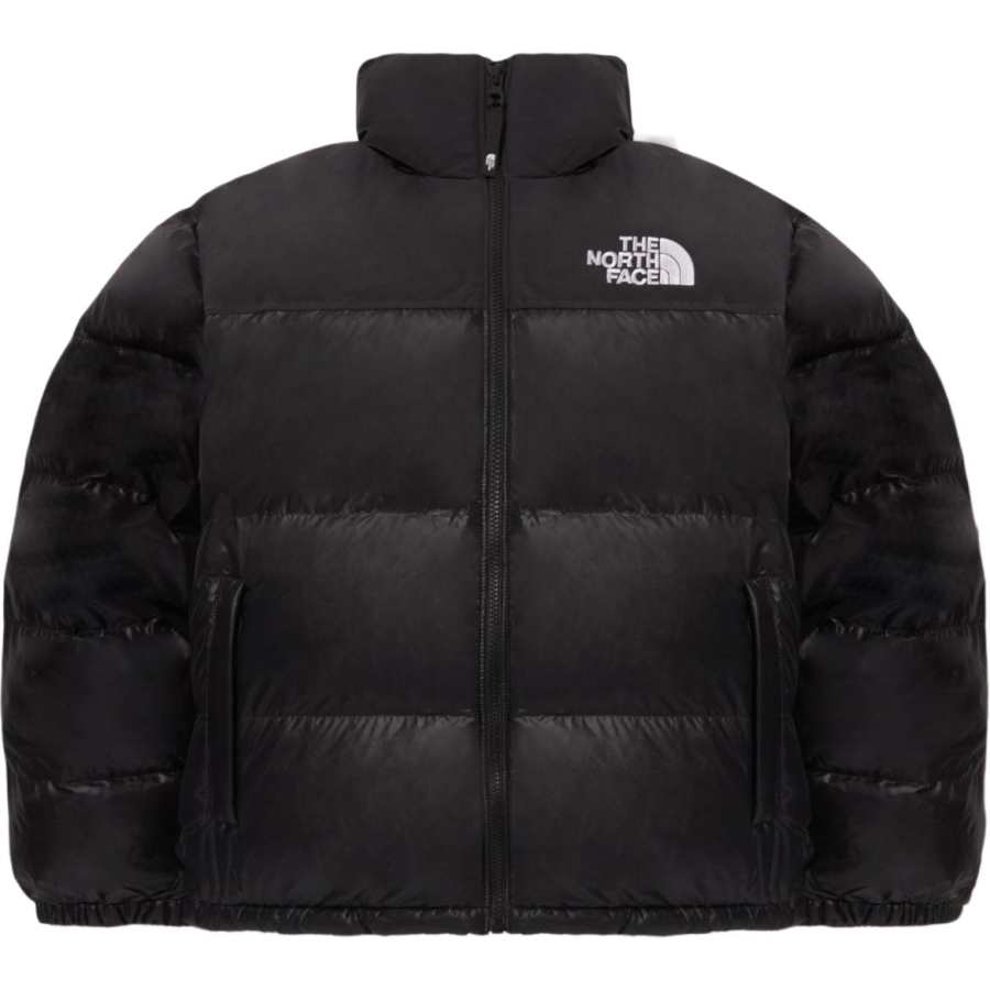 THE NORTH FACE M'S Nuptse On Ball Jacket Black Korea Version