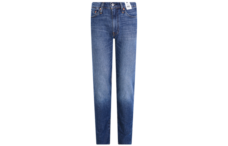 Levis Levis Jeans Men's Blue Moderate Straight Fit Pants