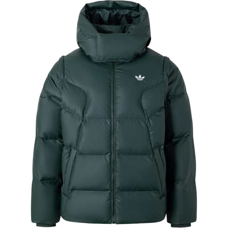Adidas Originals ADC 2N1 DJ M Down Jacket Men's Mineral Green