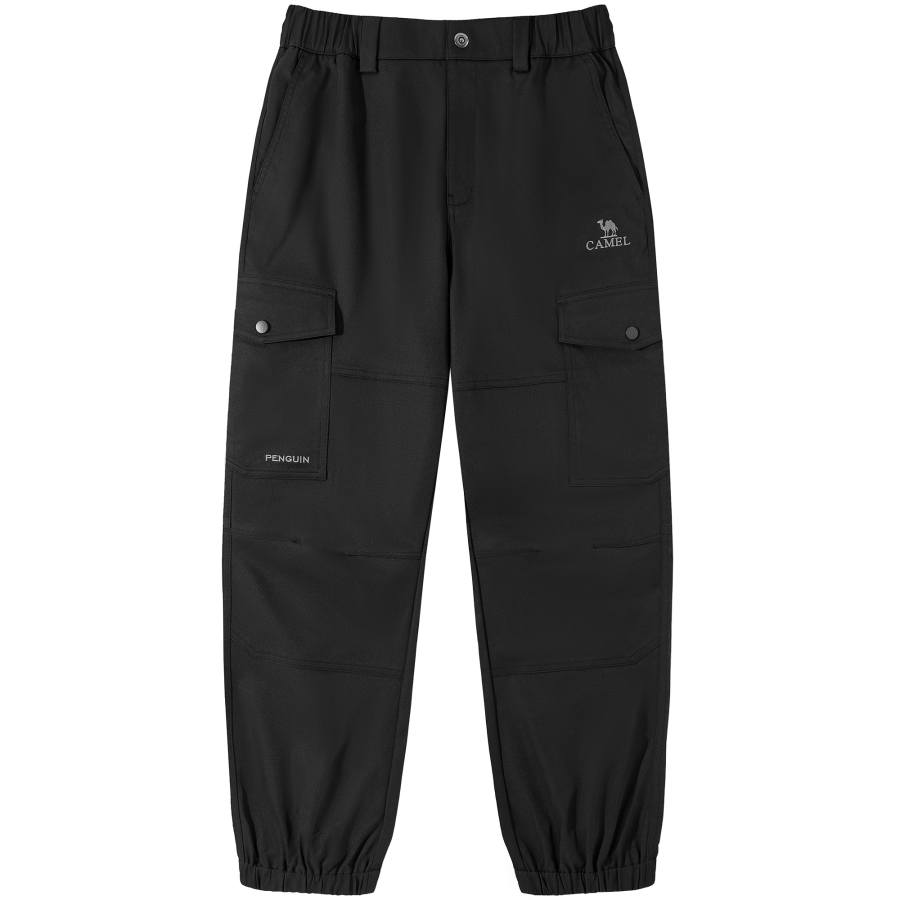 CAMEL CAMEL Mountains And Seas Collection Cargo Pants Men's Moderate