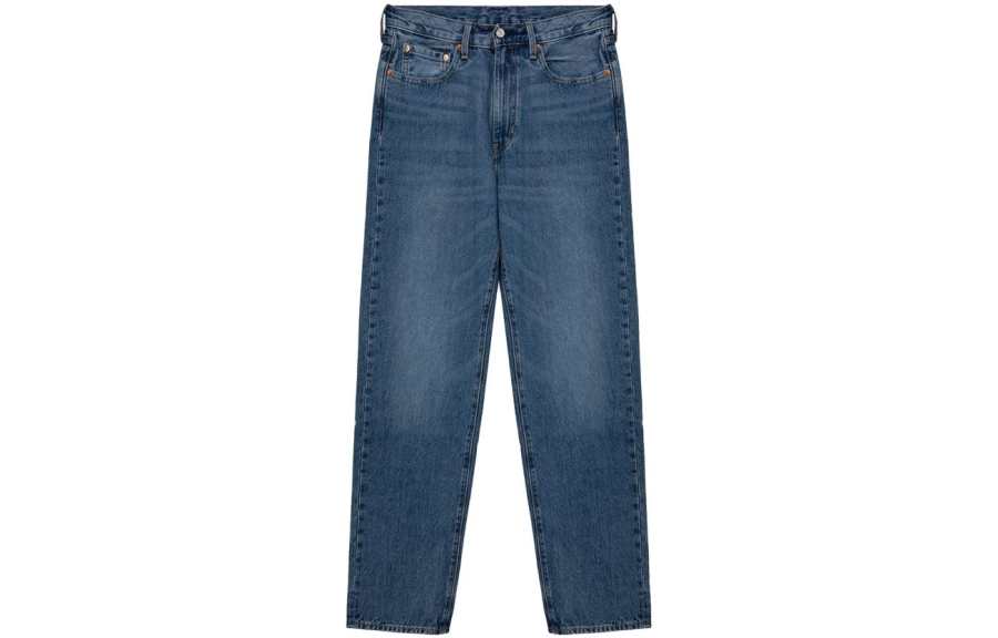 Levis Levis Jeans Men's Blue Moderate Straight Fit Pants