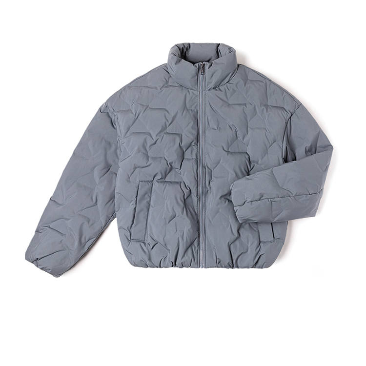Lee Lee Puffer Jackets Men's Blue Gray Stand Collar Moderate