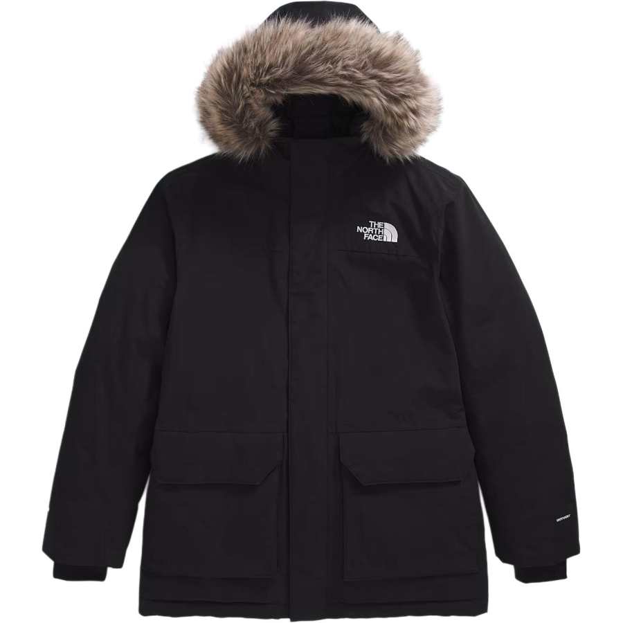 THE NORTH FACE Men’s Explore Farther Parka