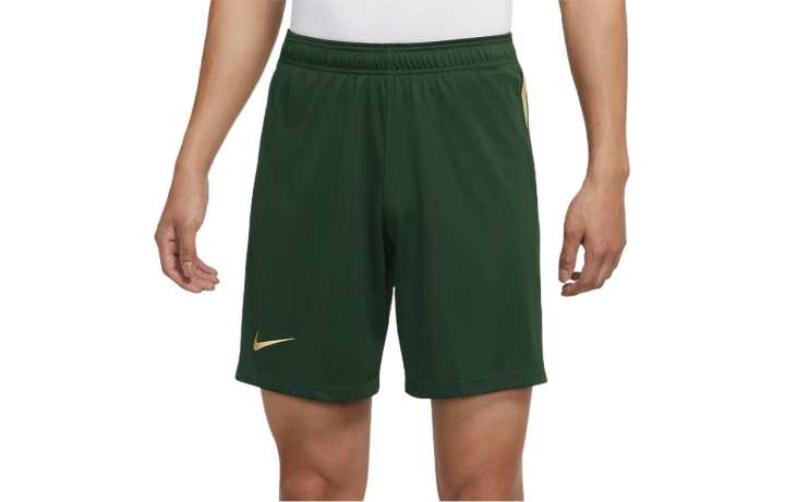 Nike Nike Casual Shorts Men's Universe Green