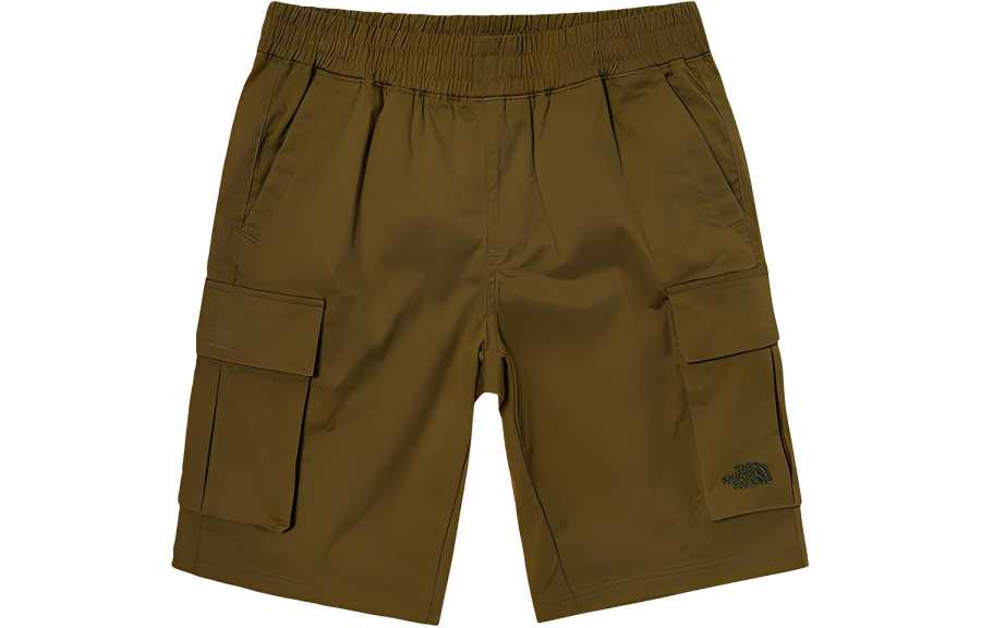THE NORTH FACE Cargo Shorts Men's Brown Moderate