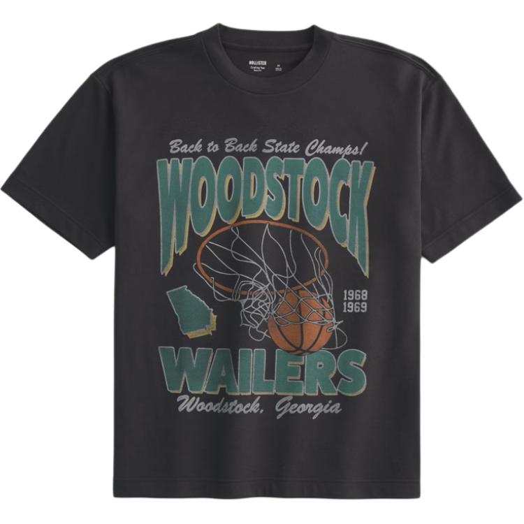 Hollister/ Hollister T Shirt Men's Dark Gray