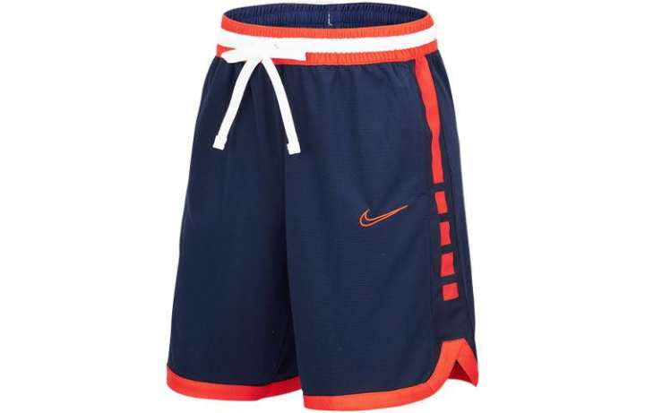 Nike Nike Casual Shorts Men's Blue Moderate