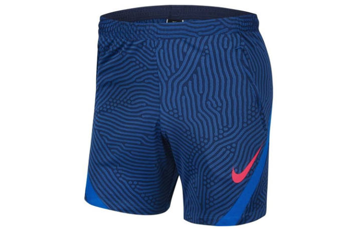 Nike Nike Dri Fit Casual Shorts Men's Blue