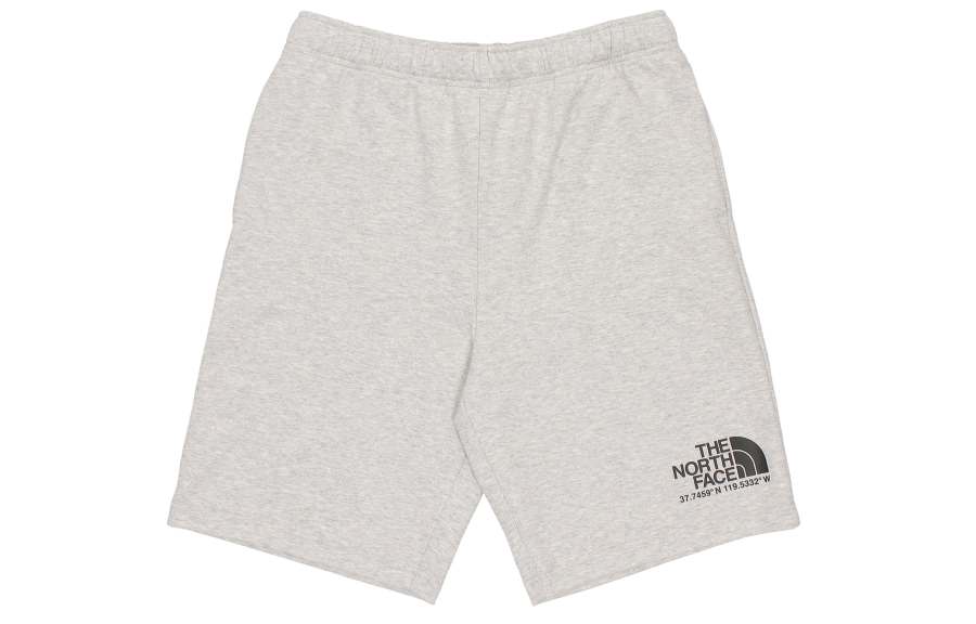 THE NORTH FACE Casual Shorts Men's Gray Moderate