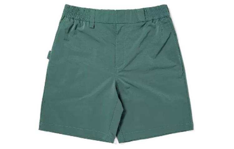 Dickies Dickies Cargo Shorts Men's Sage Green