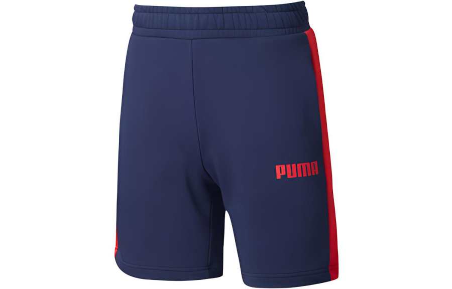 PUMA Casual Shorts Men's Tweed Blue