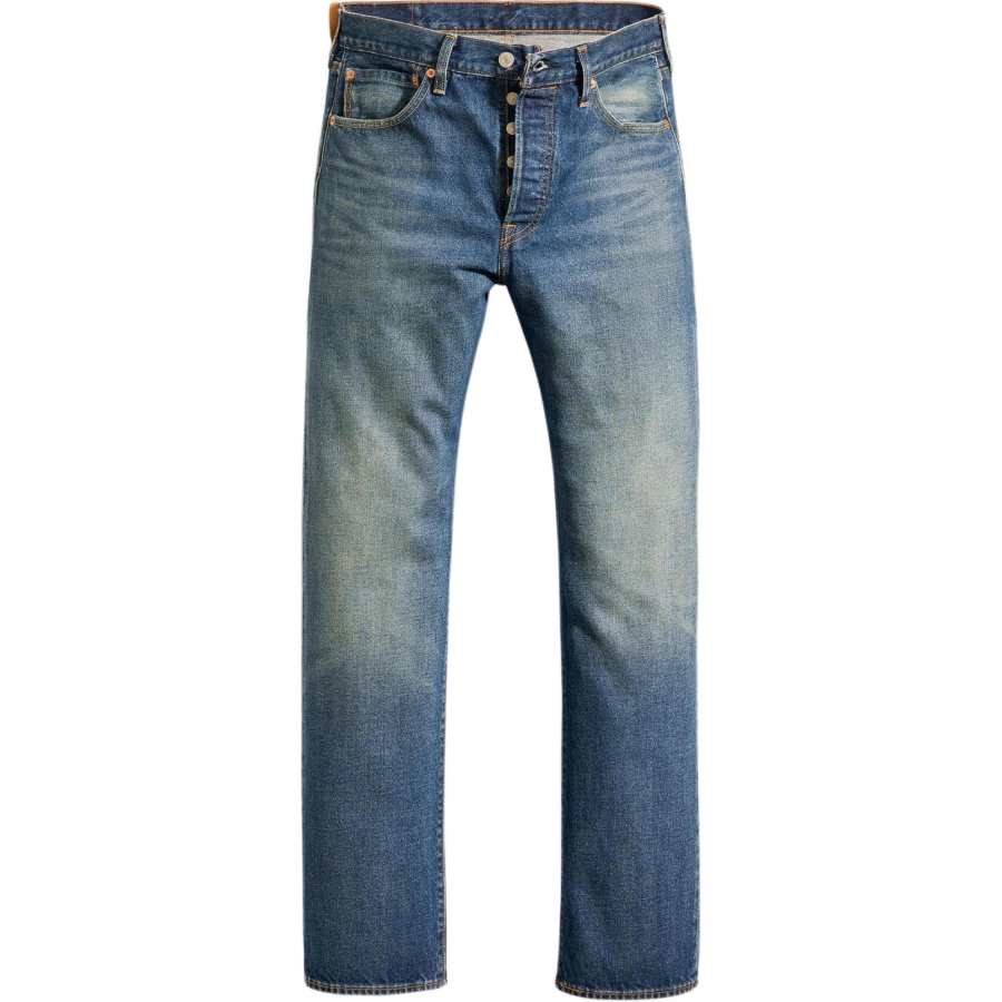 Levis Levis Jeans Men's Blue Moderate Straight Fit Pants