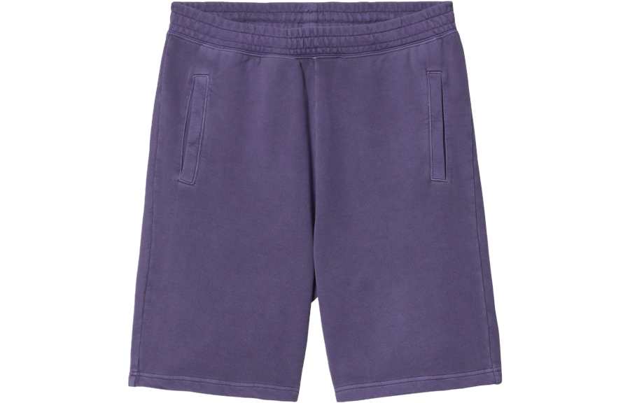 Carhartt WIP Casual Shorts Men's Purple Moderate