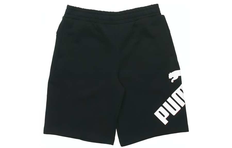 PUMA PUMA Casual Shorts Men's Moderate
