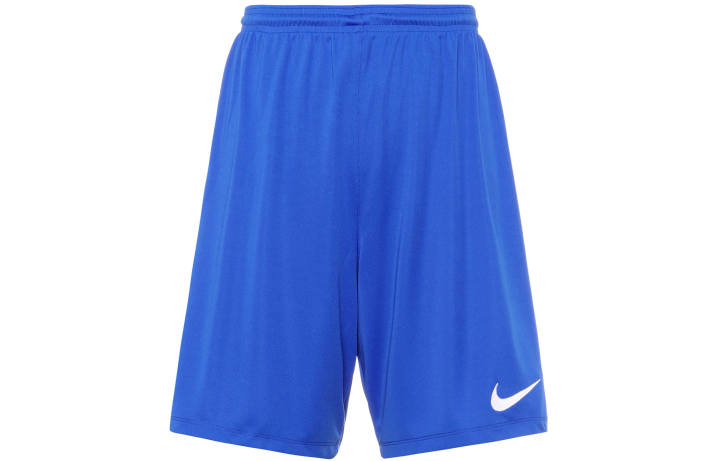 Nike Nike Casual Shorts Men's Blue Thin
