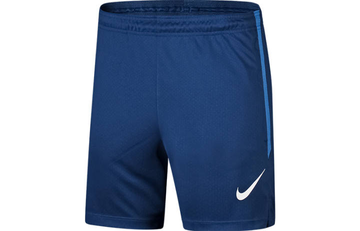 Nike Nike Casual Shorts Men's Blue Moderate