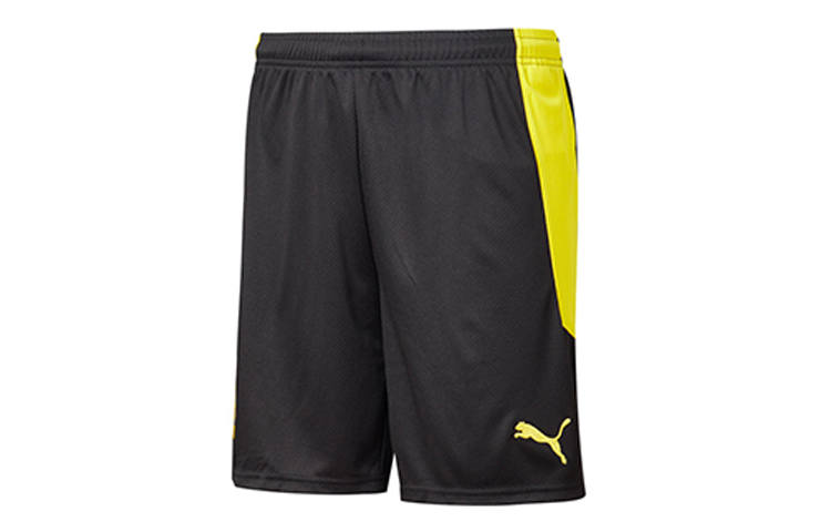 PUMA Puma Borussia Dortmund track shorts