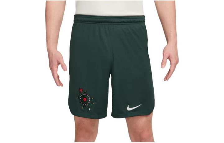 Nike Nike Casual Shorts Men's Green Moderate