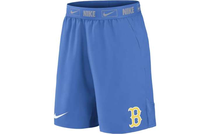 Nike Nike Casual Shorts Men's Blue Moderate