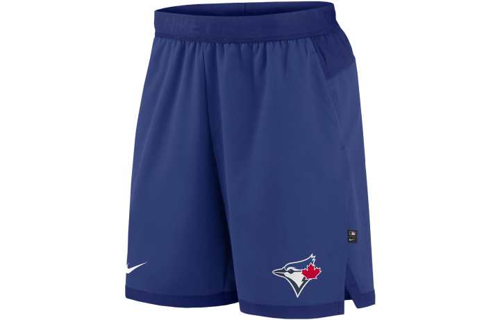 Nike Nike Casual Shorts Men's Blue Moderate