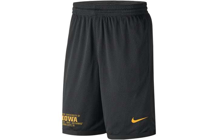 Nike Nike College Dri-FIT Iowa Men's Shorts