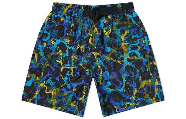 Nike Nike Casual Shorts Men's Blue Moderate