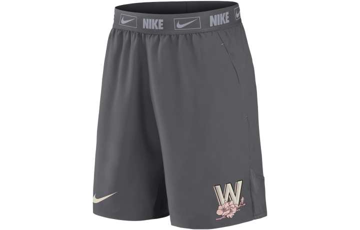 Nike Nike Casual Shorts Men's Gray Moderate