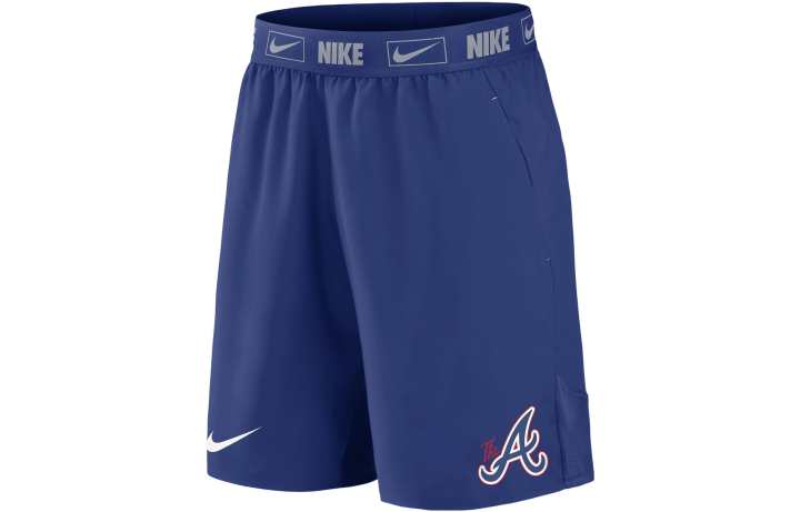 Nike Nike Casual Shorts Men's Blue Moderate